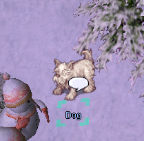 Dog Winter.png