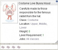 Love Bunny Hood.jpg