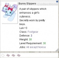 Bunny Slippers.jpg